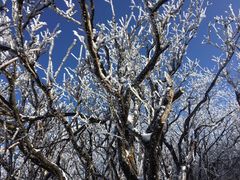 -东天目山风景区