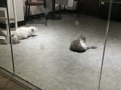 -衣裳街历史文化街区