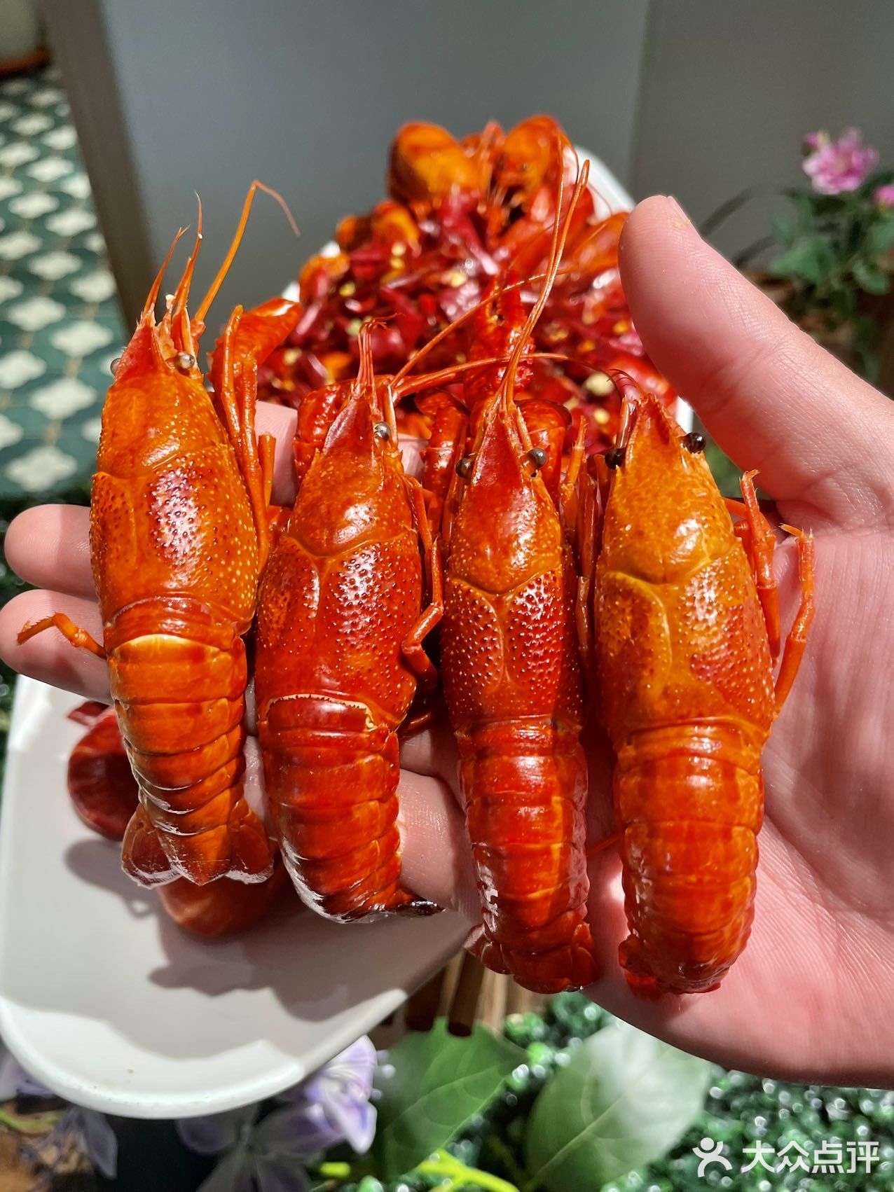 热辣滚烫，小龙虾🦞盛宴