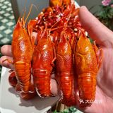 热辣滚烫，小龙虾🦞盛宴