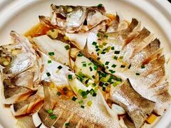 -单家老院·院子里的青岛菜(沙子口店)