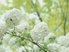 -大龙山(地铁站)