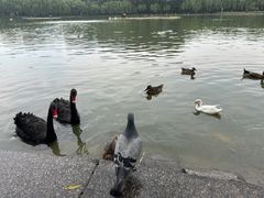 -中国农业博物馆