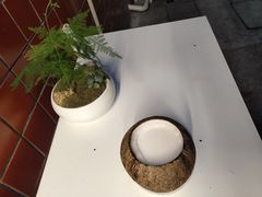 -椰爺爺·椰子冻砵仔糕