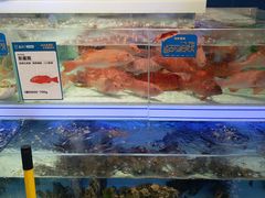 -盒马X会员店(上海森兰商都店)