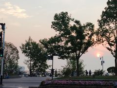 -放鹰台遗址