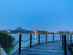 -南开大学滨海学院