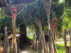 -云南民族村