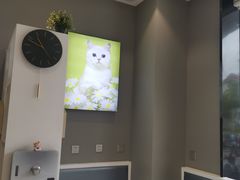 -关爱宠物医院·猫科中心·消化科(滨湖万达分院)