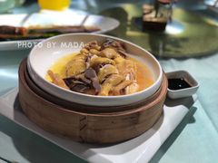 越山溪上神仙鸡-东方御花园酒店
