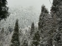 -太阳湾风景区