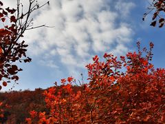 -周口店坡峰岭风景区