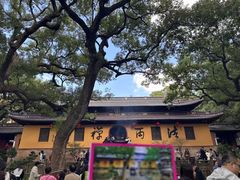 -普陀山风景名胜区-法雨禅寺