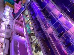 -山东柏宁水族批发广场