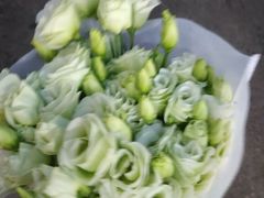 -秦美花卉(天朗·莱茵小城2期店)