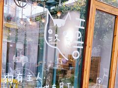 -喵屿·大理花园猫咖