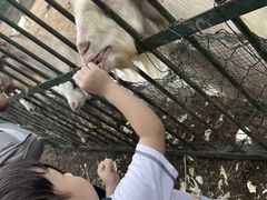 -秦皇岛野生动物园