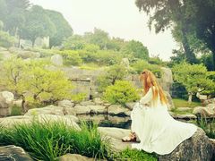 android_upload_pic-中国唐苑