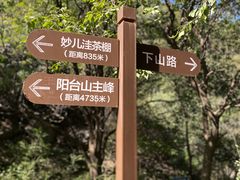 -阳台山自然风景区