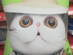 -华润万家(朱雀大街店)