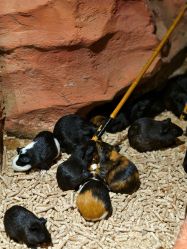 -Zoolung Zoolung动物主题公园(海信广场店)