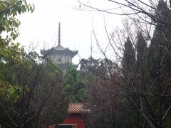 -正定古城-开元寺