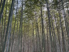 -南京市无想山景区