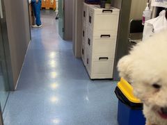 -佑安动物医院·全科·内窥镜中心(幸福巷店)