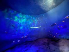 -安徽省地质博物馆