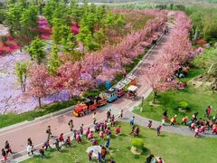 -南通洲际绿博园