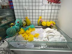 -MINIPOPO鲜奶·甜品(宽厚里店)
