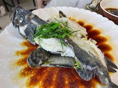 清蒸石斑鱼-覃记海鲜美食餐厅