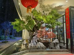 -院里寻菜·精致庭院菜(观沙岭店)