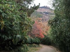 -石老人观光园