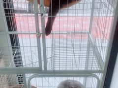 -乐果甜心·潮汕冰室(南澳后宅分店)
