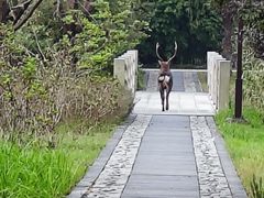-苏州太湖国家湿地公园
