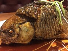 罾蹦鲤鱼-津菜宋记老房子(鼓楼店)