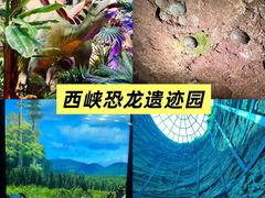 -中国西峡恐龙遗迹园