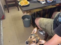 -秦巴石锅鱼(文化南路店)