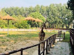 -北京野生动物园