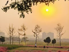 -汉长安城未央宫国家考古遗址公园