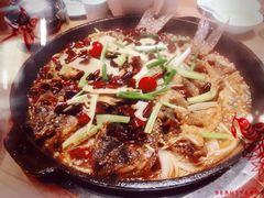 -老板恋上鱼(印象城店)