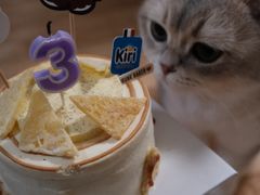 -DRUNK BAKER(上海陕康里店)