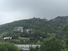 -石老人观光园
