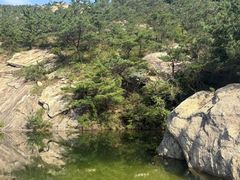 -九龙池景区