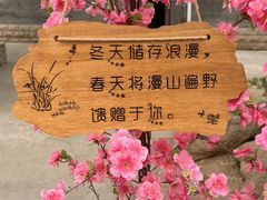 -北京凤凰岭