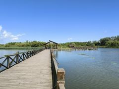 -溱湖国家湿地公园