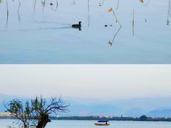 -西昌邛海湿地