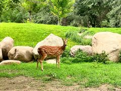 -北京野生动物园