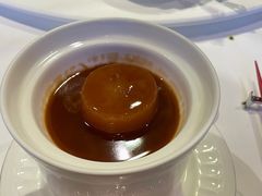 琥珀冬瓜-西郊5号·Maggie 5